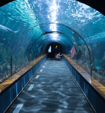 Sharjah Aquarium 